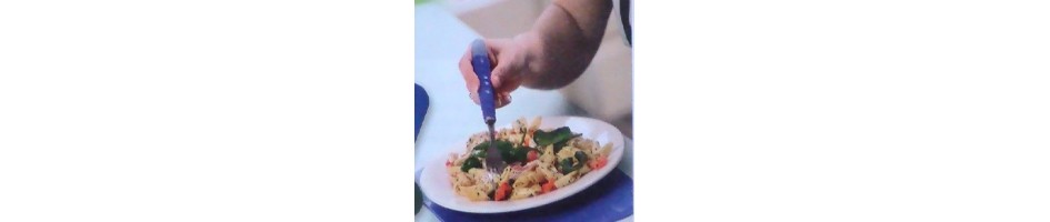 AIDE AU REPAS